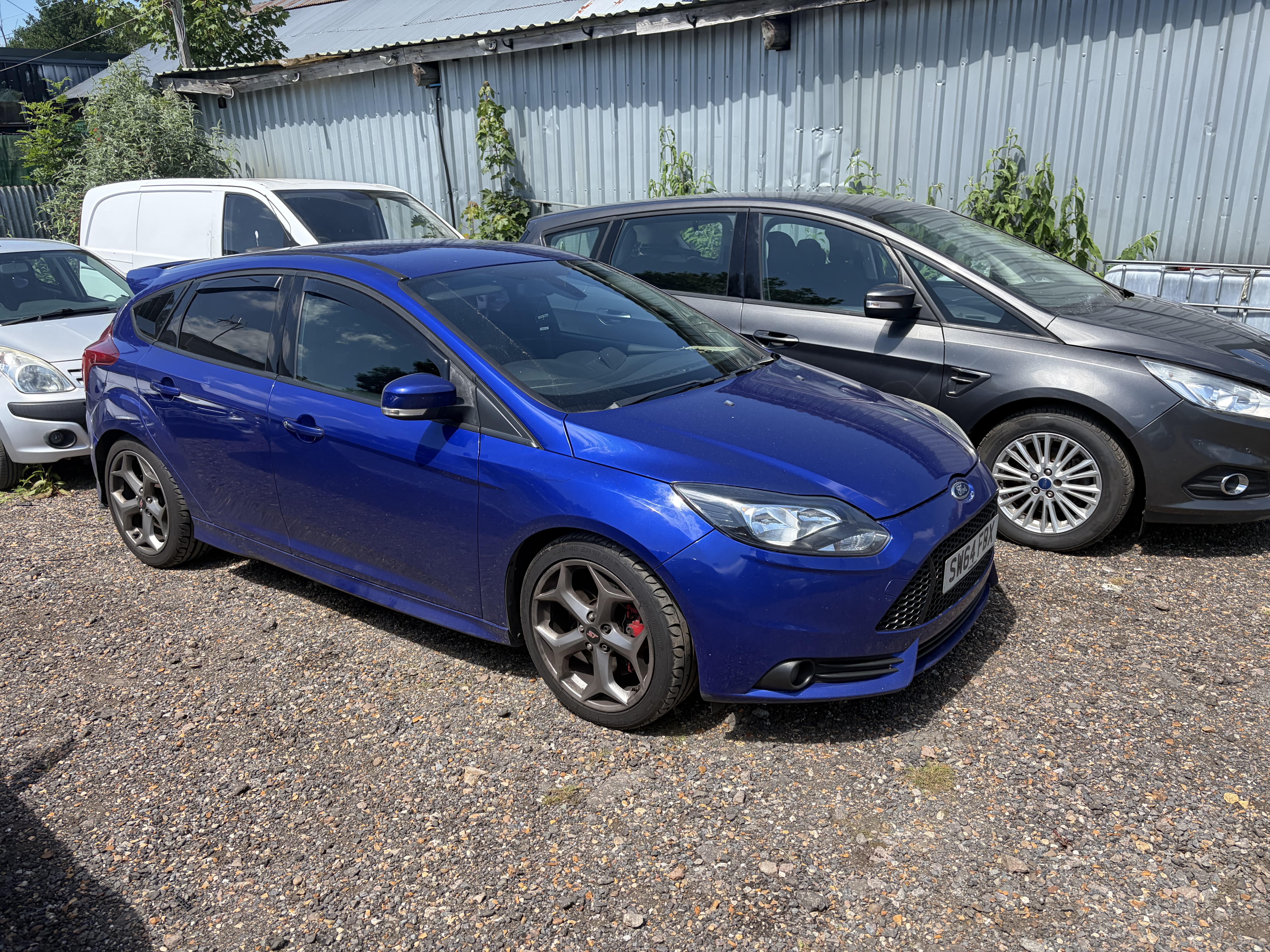 Focus st